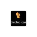 Bivolino discount code