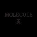 Molecule Health discount code