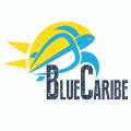 Blue Caribe Tours discount code